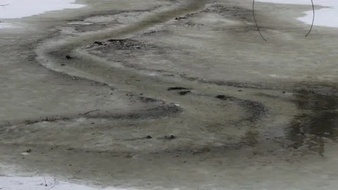 Streams of water from melted snow flow in the forest Stock Footage 230275585