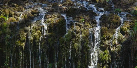 Streams of water trickling over ledge of mossy rocks Stock Footage 59114361