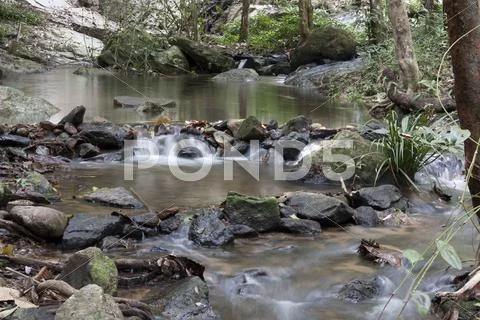 Streams, waterfalls, natural. Stock Photos