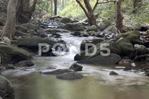 Streams, waterfalls, natural. Stock Photos