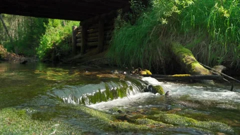 Streams in wild deserted forest. Water ecoresources of nature. Stock Footage 160422892