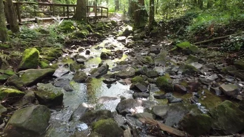 StreamShot1 DroneShot Stock Footage 243830346
