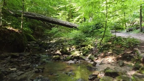 StreamShot2 DroneShot Stock Footage 243829928