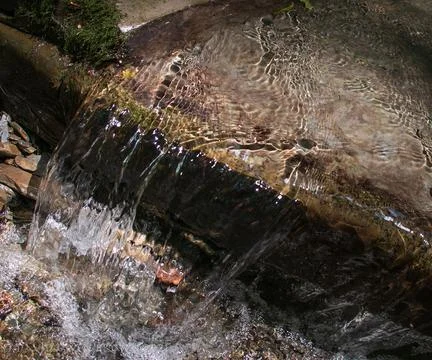 Streamside Stock Photos