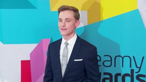 Streamy Awards 2017, Beverly Hills - 26 Sep 2017 Stock Footage 205418486