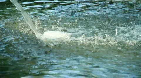 Streem Vídeo Stock 704278