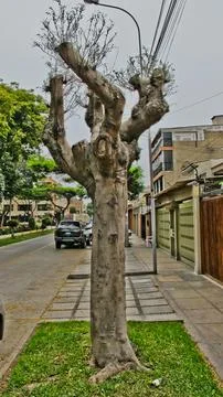 Strees three Stock Photos