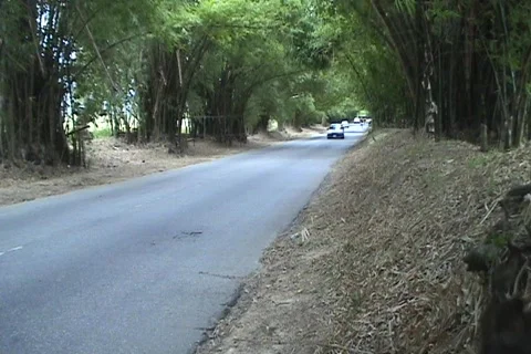 Street 01 Stock Footage 356805