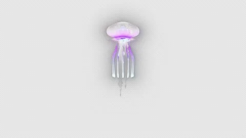 Street-013 Stock-Footage 200194285