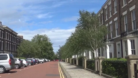 Street and tree 20s Stock-Footage 83794549