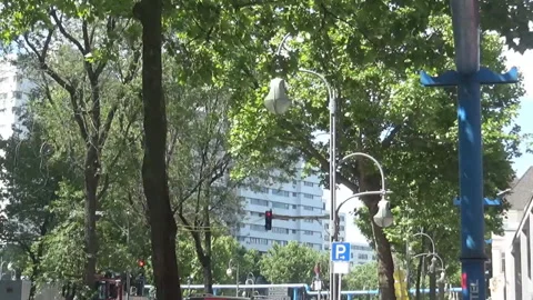 A street and trees Stock Footage 91332894