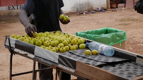 Street apples seller Stock Footage 80459529