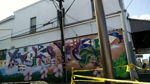 Street Art Stock Footage 105195404