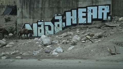 Street art at rishikesh timelapse Video stock 102775126