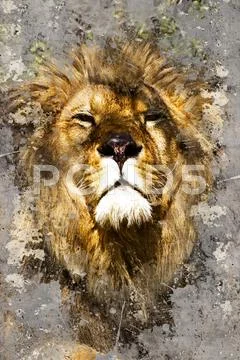 Street art, urban grafitti on wall Stock Photos