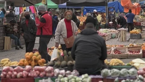 Street beast Stock Footage 158397398