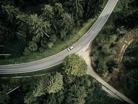 Street between large trees from top with drone aerial view, landscape, autumn Stock Photos
