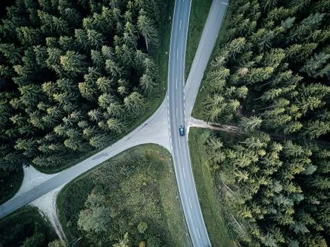 Street between large trees from top with drone aerial view, landscape, autumn Stock Photos