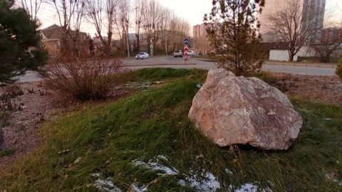 Street between two fir trees, light snow on the grass Stock Footage 220501917