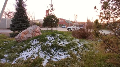 Street between two fir trees, light snow on the grass Stock Footage 220502508