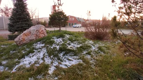 Street between two fir trees, light snow on the grass Stock Footage 220502696
