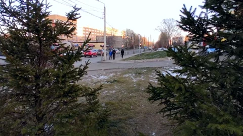 Street between two fir trees, light snow on the grass Stock Footage 220502791