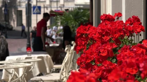 In a street cafe of Vilnius, Lithuania, selective focus Stock-Footage 40348349