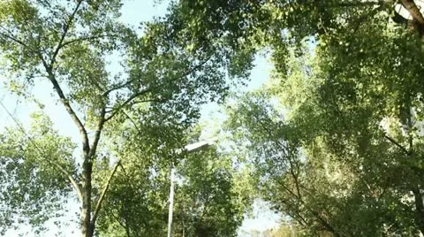 On the street, camera car. 库存影片 12351875