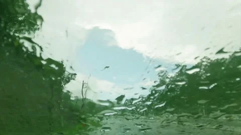 Street car front window view of green mountain tree n rain forest Stock Footage 156846750
