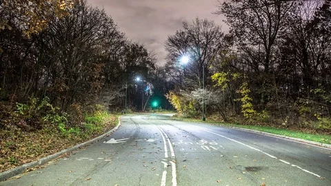 Street in Central Park 스톡 동영상 83520721