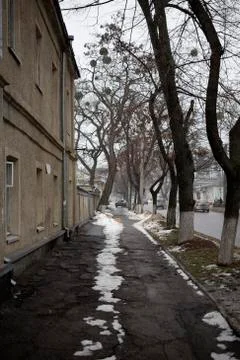 Street of the city. Stock Photos