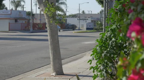 Street in Compton Stock Footage 53829303