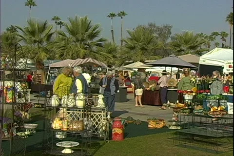 Street Fair Crafts People Stock Footage