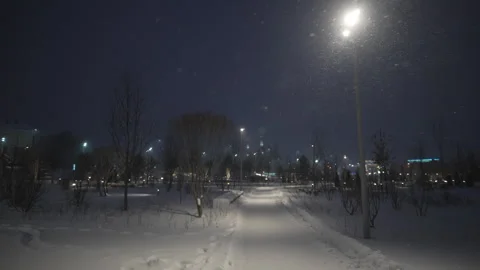 Street features cleared walking path illuminated by lamps Stockbeeldmateriaal 326465778