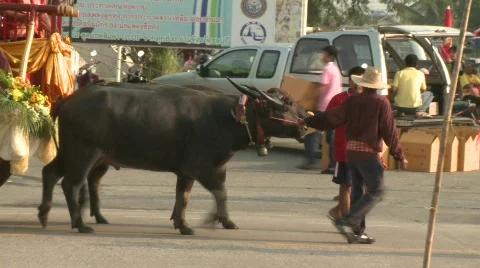 Street float 1 Stock Footage 485624