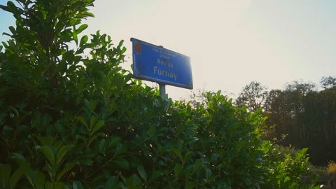 Street 스톡 동영상 121447313