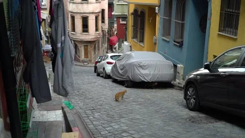 Street Video stock 169656534