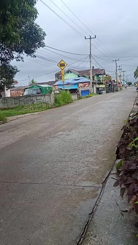 Street Stock Footage 219601716