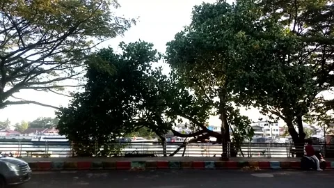 Street Stock Footage 227827541