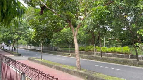 Street Stock Footage 274151242