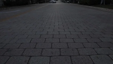 Street framed with Palm Trees Stock Footage 114013638