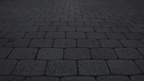 Street framed with Palm Trees Stock Footage 114013727