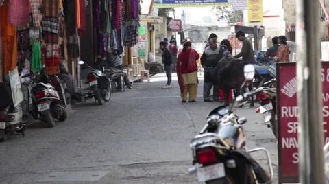 A Street in India Video stock 41244222