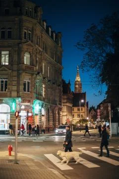 Street intersection in Strasbourg at dusk 写真素材