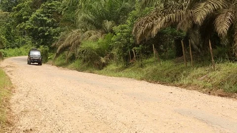 Street on Jambi Stock Footage 84254500