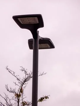 A street lamp against a cloudy sky with tree branches in background Stock Photos