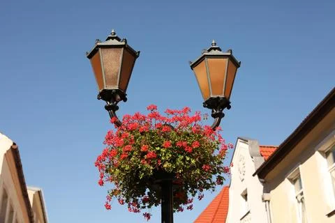 Street lamp with beautiful blooming flowers outdoors, low angle view Stock Photos