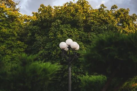 A street lamp between the crown of a tree. Outdoor Garden Stock Photos