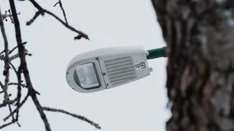 Street Lamp Between Trees in Winter Snowfall Stock Footage 332363933