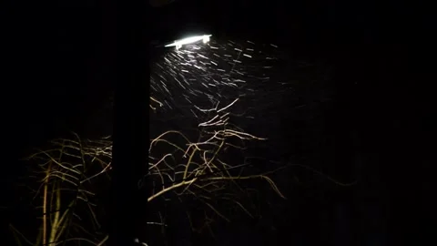 Street lamp with led panel Stock Footage 291570295